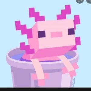 Meet your Posher, Ahmed